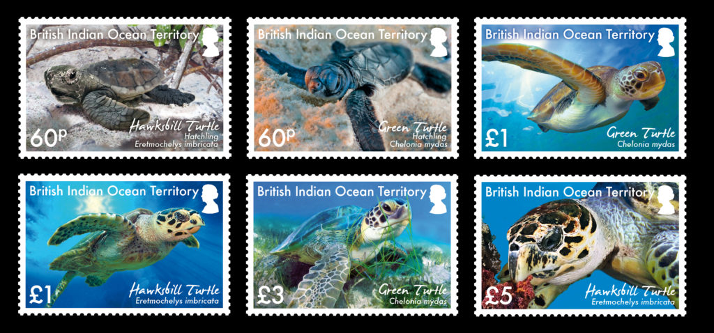 Turtle Stamp Issue Released 16.11.16 | British Indian Ocean Territory